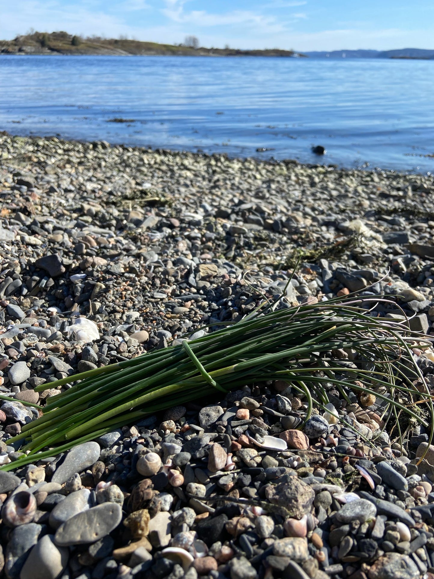 A unique Oslofjord Island fishing adventure | 4 adults